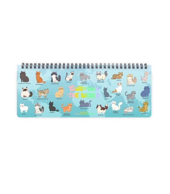 plano-grafeiou-spiral-2026-legami-12-minon-evdomadiaio-272x102cm-desk-diary-planner-kitty-ag2612167